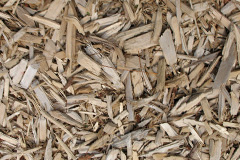 biomass boilers Ganthorpe